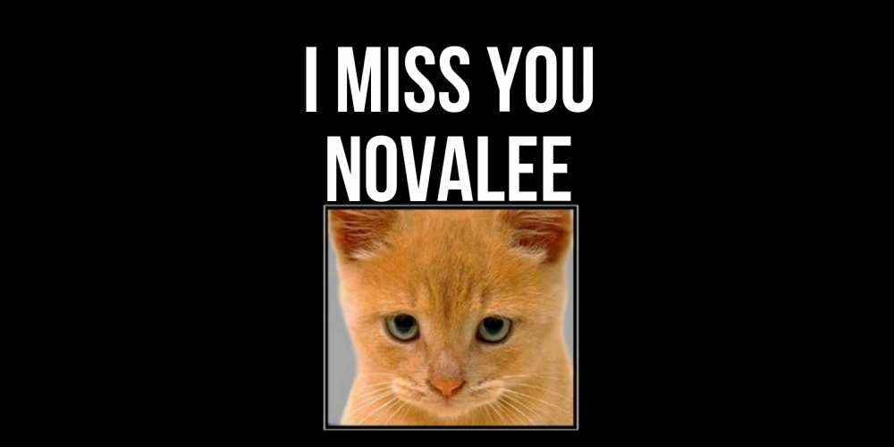 Greetings card с именем, Novalee I miss you открытки рыжий котенок скучает по тебе Greetings with text for free download 