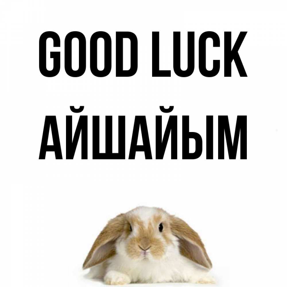 Greetings card с именем, АЙШАЙЫМ Good luck открытки с произвольным текстом который можно вставить в открытку и создать ее самостоятельно бесплатно онлайн Greetings with text for free download 