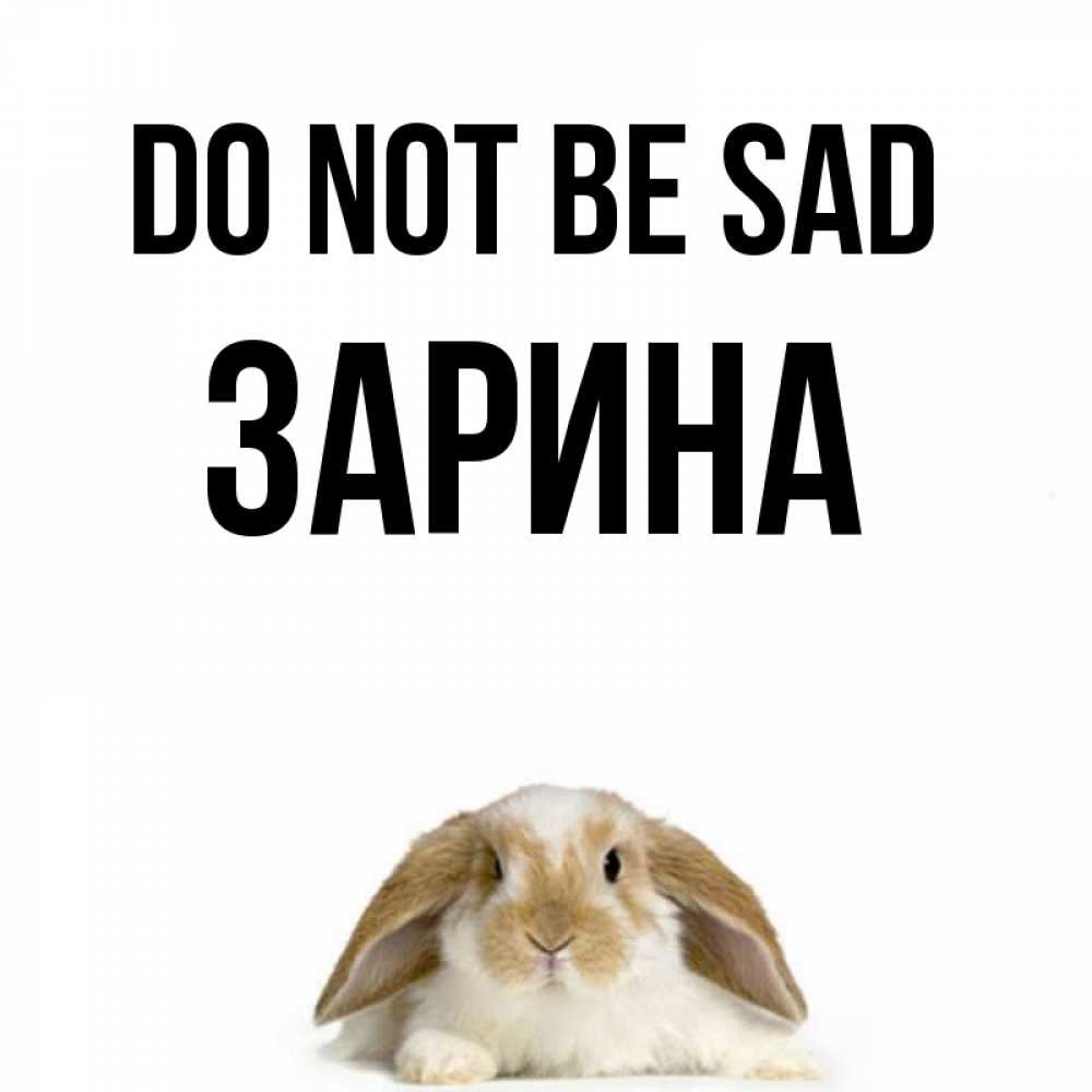 Greetings card с именем, ЗАРИНА Do not be sad коричнево белый заяц с большими ушками Greetings with text for free download 