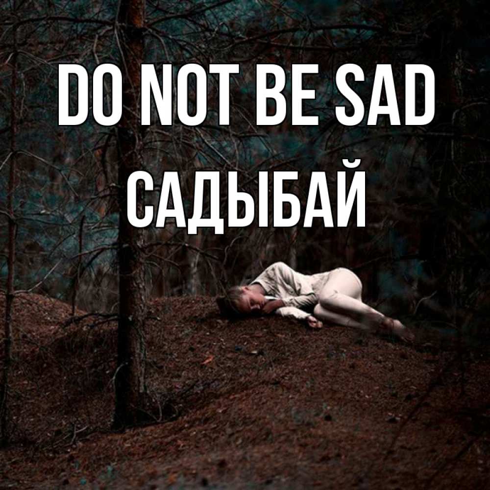Greetings card с именем, САДЫБАЙ Do not be sad лес Greetings with text for free download 