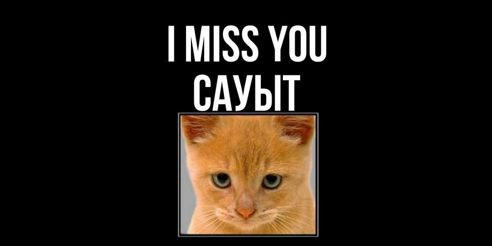 Greetings card с именем, САУЫТ I miss you открытки рыжий котенок скучает по тебе Greetings with text for free download 