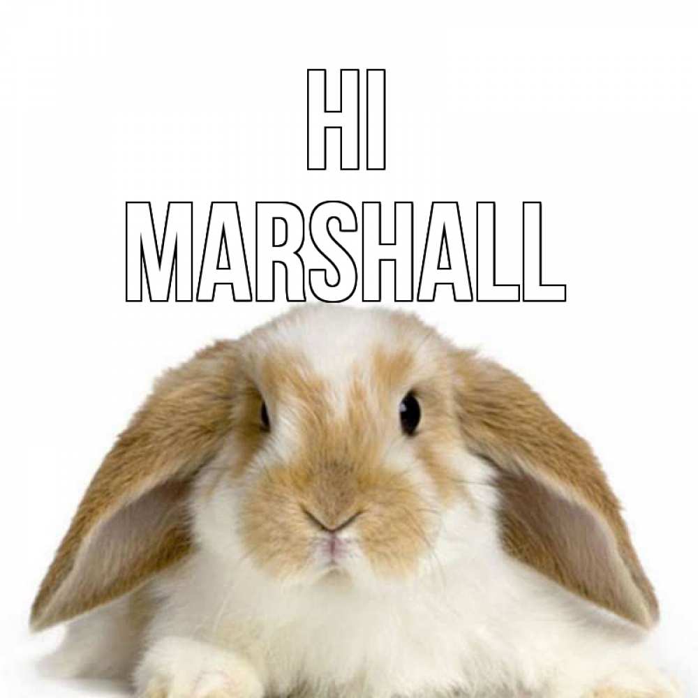 Greetings card с именем, Marshall Hi с животными Greetings with text for free download 
