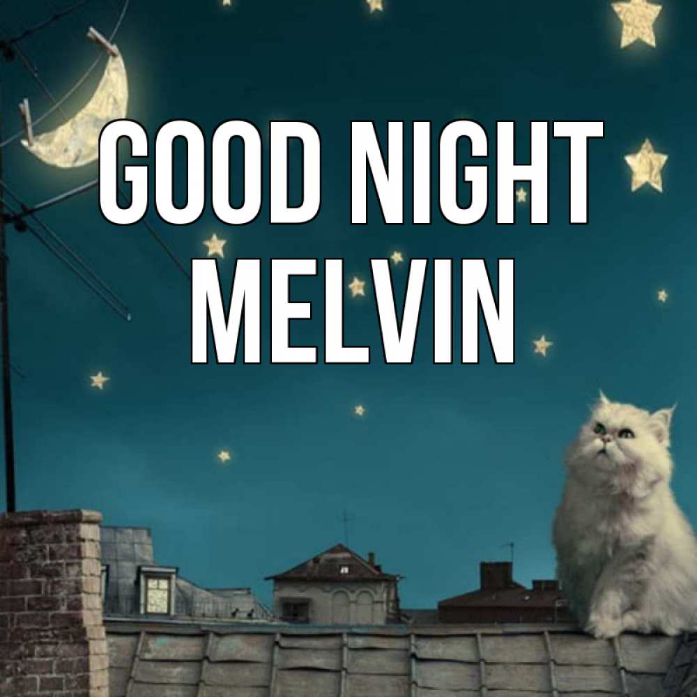 Greetings card с именем, Melvin Good night белый кот сидит на крыше Greetings with text for free download 