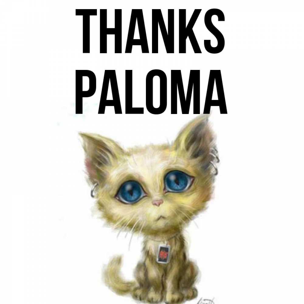 Greetings card с именем, Paloma Thanks рисованный кот благодарит вас Greetings with text for free download 