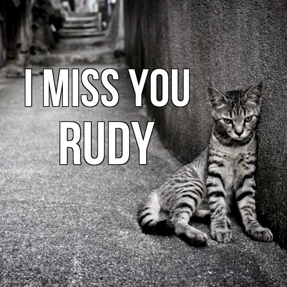 Greetings card с именем, Rudy I miss you одиноко котику Greetings with text for free download 