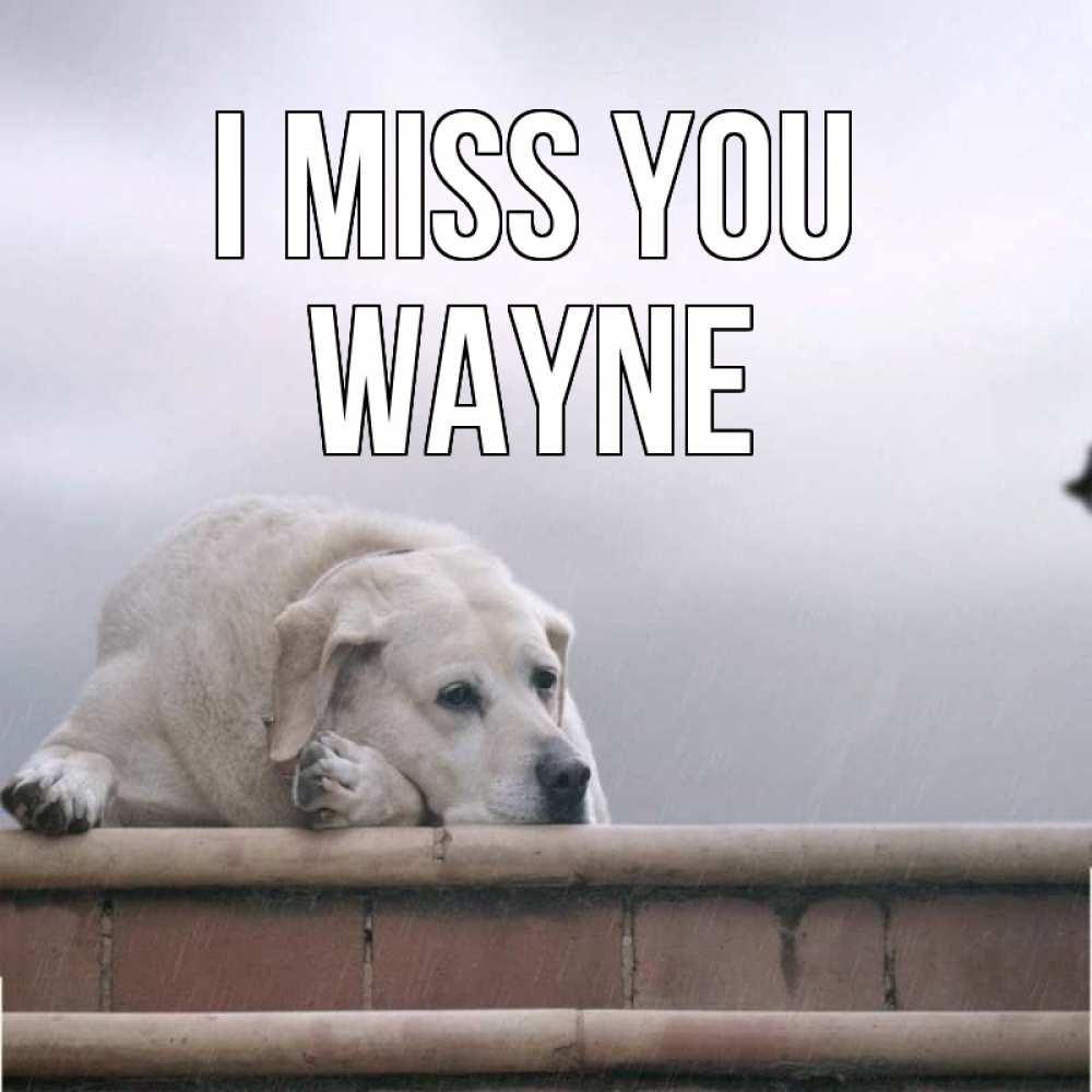 Greetings card с именем, Wayne I miss you ждет Greetings with text for free download 