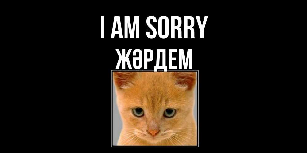 Greetings card с именем, Жәрдем I am sorry рыжий грустный кот просит прощения Greetings with text for free download 