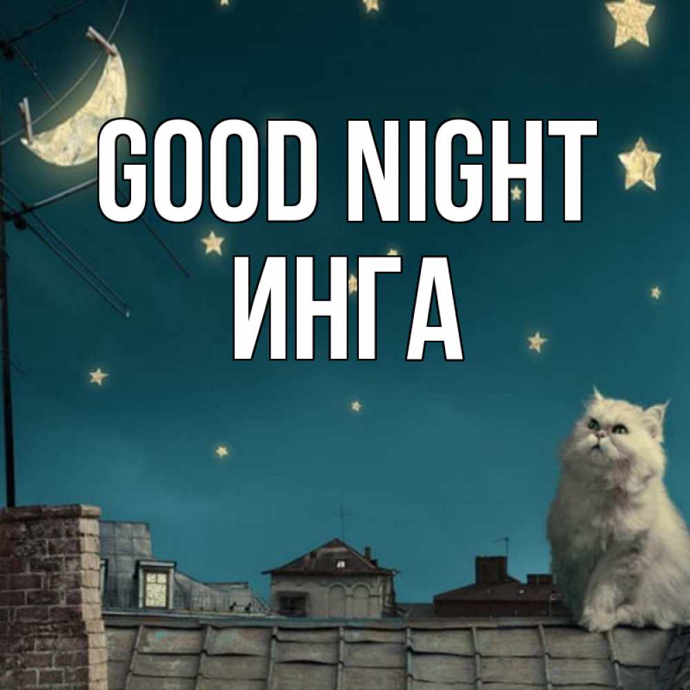 Greetings card с именем, Инга Good night белый кот сидит на крыше Greetings with text for free download 