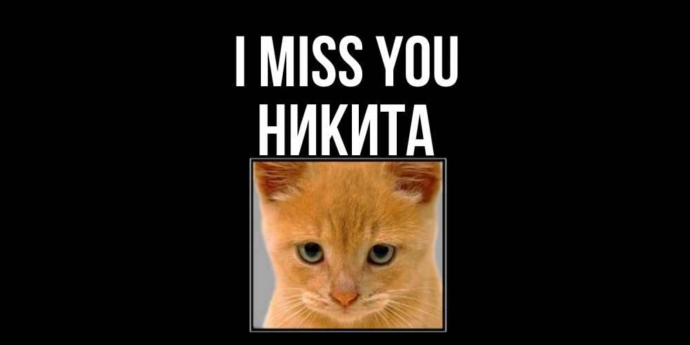 Greetings card с именем, Никита I miss you открытки рыжий котенок скучает по тебе Greetings with text for free download 