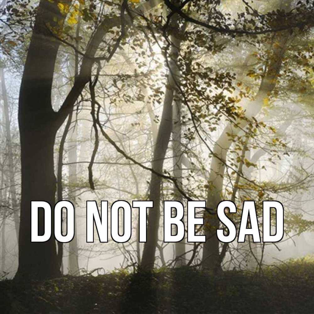 Greetings card с именем, выберите-имя Do not be sad лес и свет Greetings with text for free download 