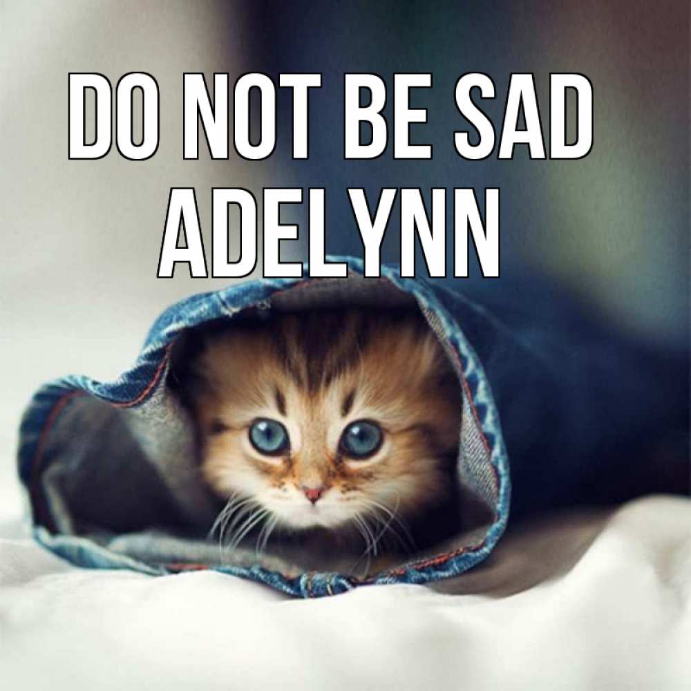 Greetings card с именем, Adelynn Do not be sad рыжик котик Greetings with text for free download 
