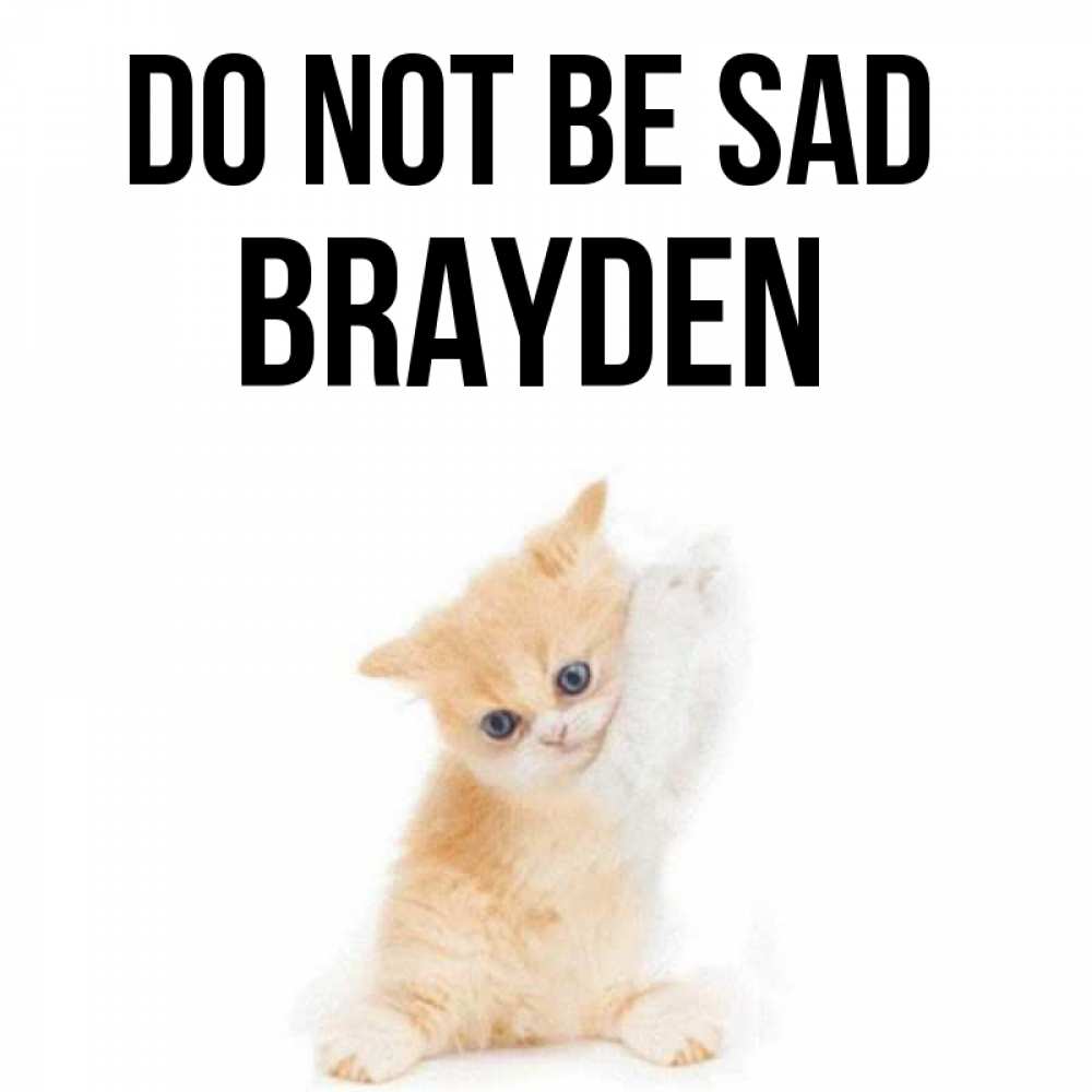 Greetings card с именем, Brayden Do not be sad просящий кот Greetings with text for free download 