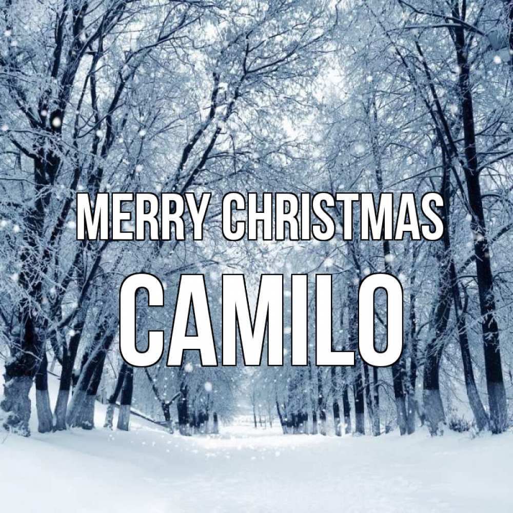 Greetings card с именем, Camilo Merry Christmas снег, лес, парк Greetings with text for free download 