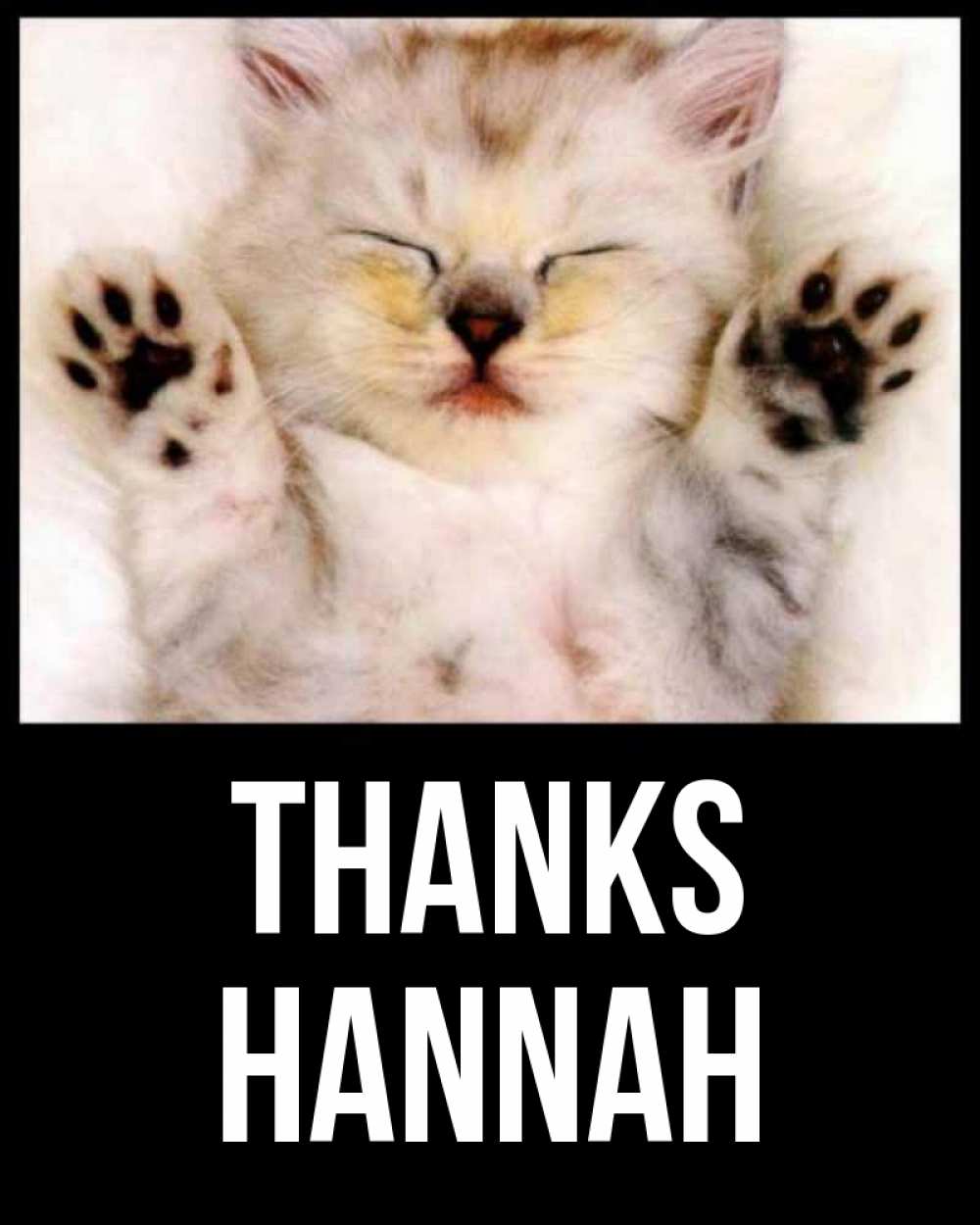 Greetings card с именем, Hannah Thanks маленький котенок Greetings with text for free download 