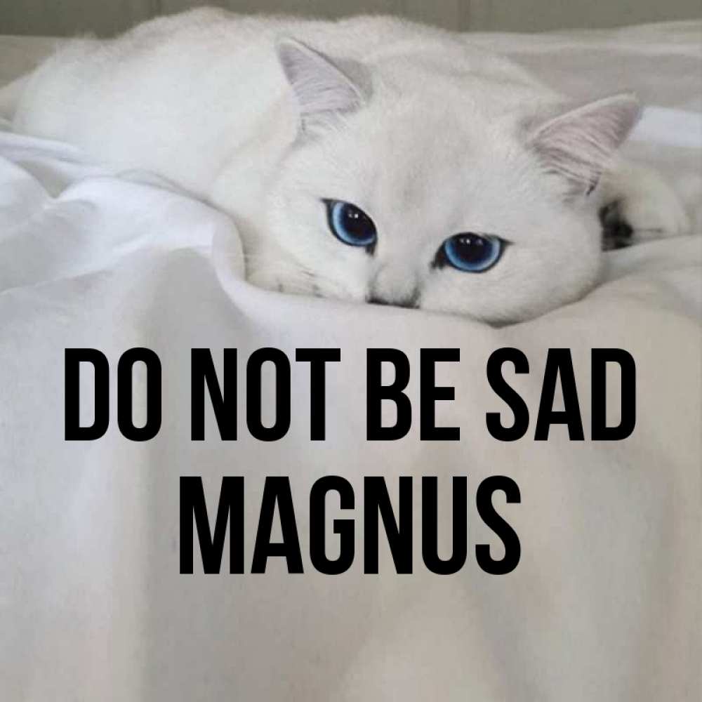Greetings card с именем, Magnus Do not be sad Голубоглазая кошка Greetings with text for free download 