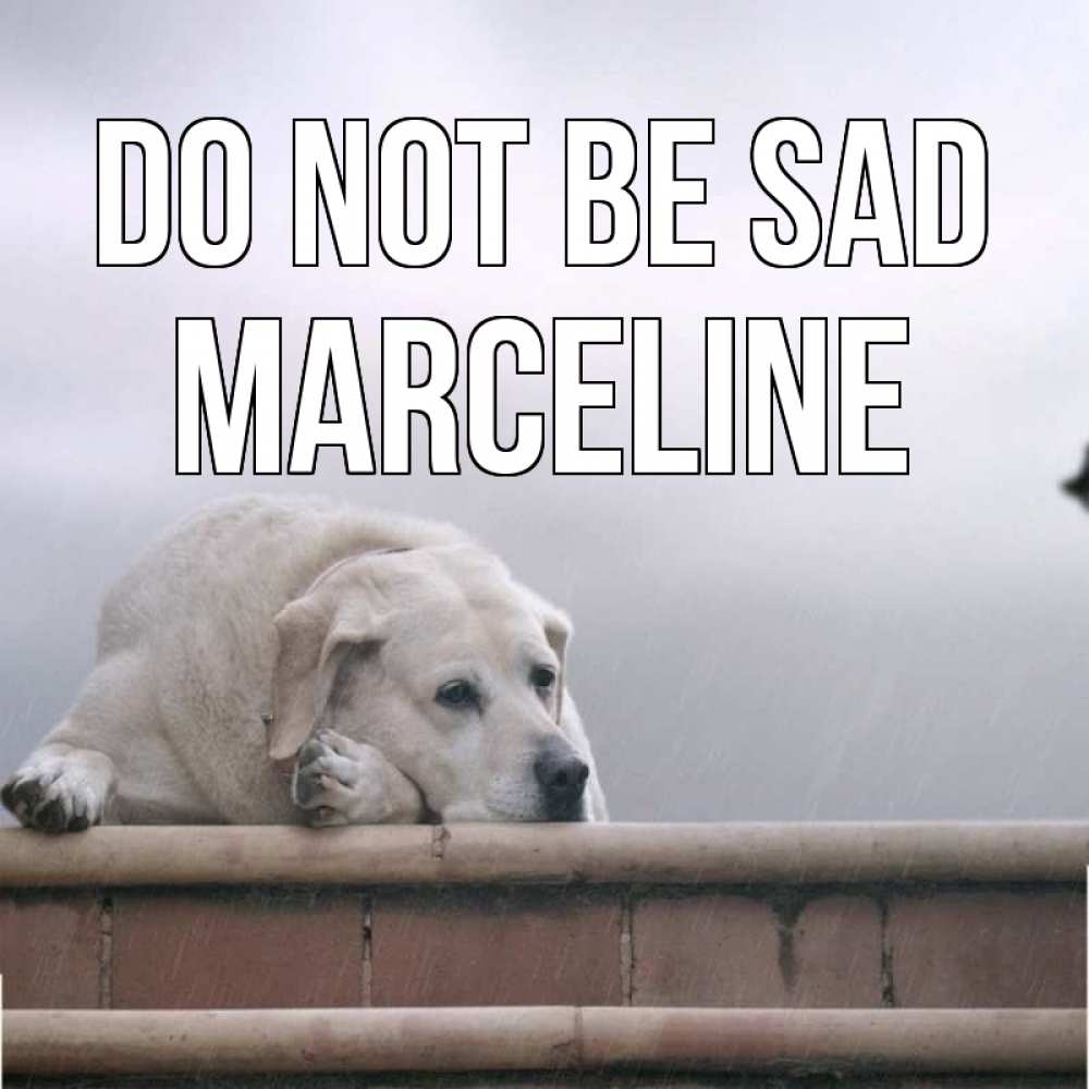 Greetings card с именем, Marceline Do not be sad белый пес 1 Greetings with text for free download 