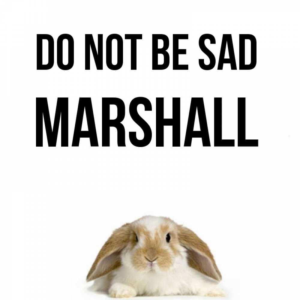 Greetings card с именем, Marshall Do not be sad коричнево белый заяц с большими ушками Greetings with text for free download 
