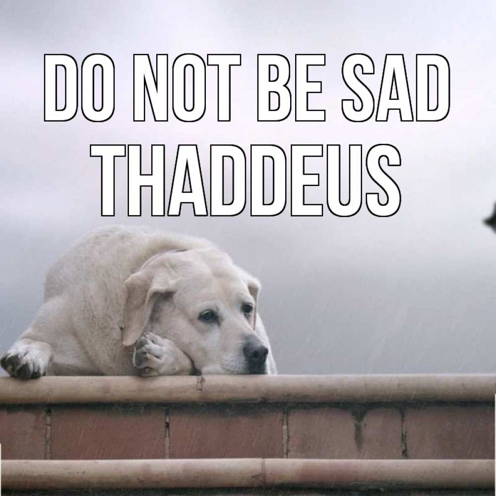Greetings card с именем, Thaddeus Do not be sad белый пес 1 Greetings with text for free download 
