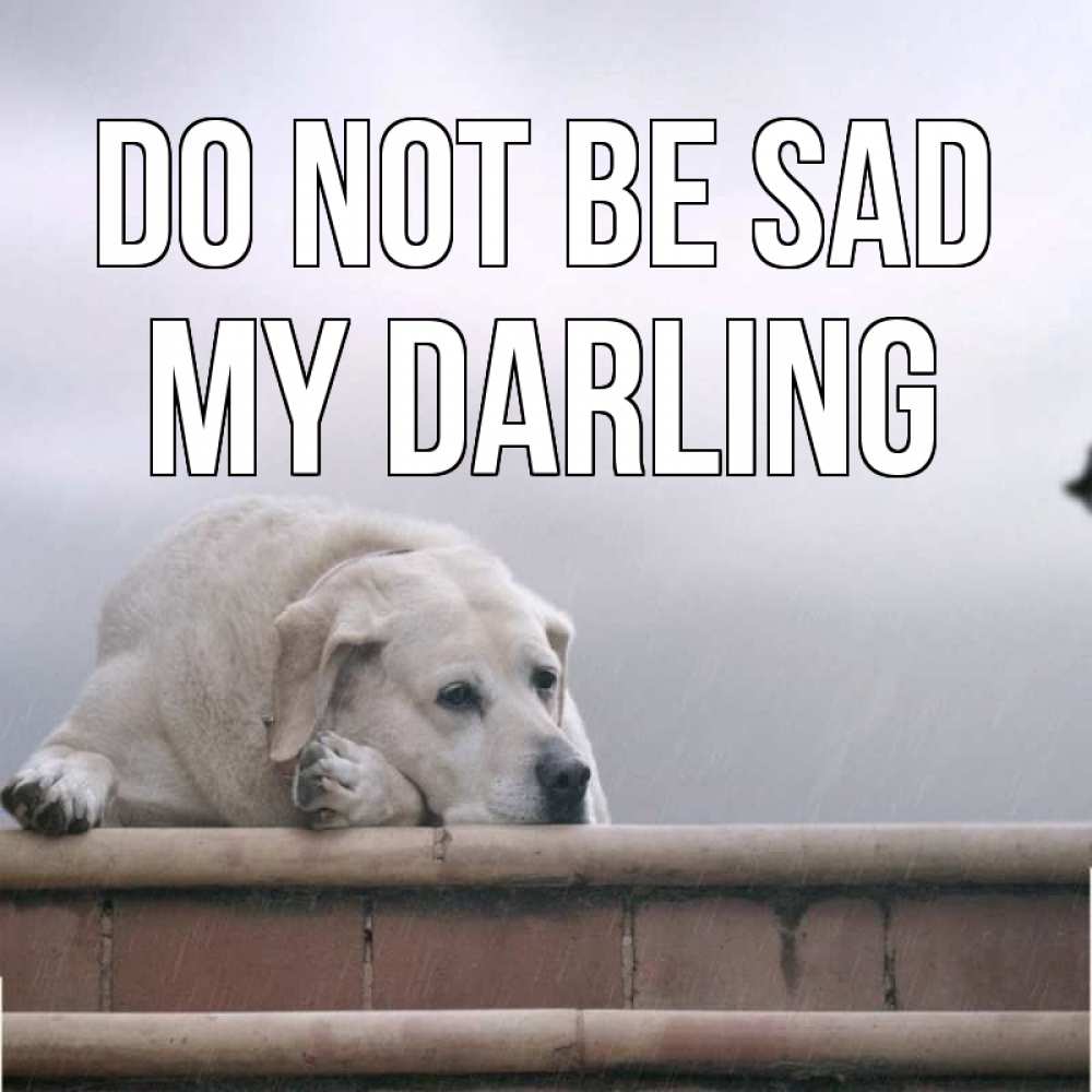 Greetings card с именем, my-darling Do not be sad белый пес 1 Greetings with text for free download 