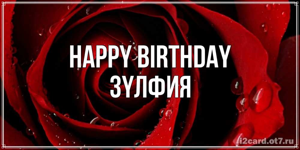 Greetings card с именем, ЗҮЛФИЯ Happy Birthday крупная бордовая роза Greetings with text for free download 