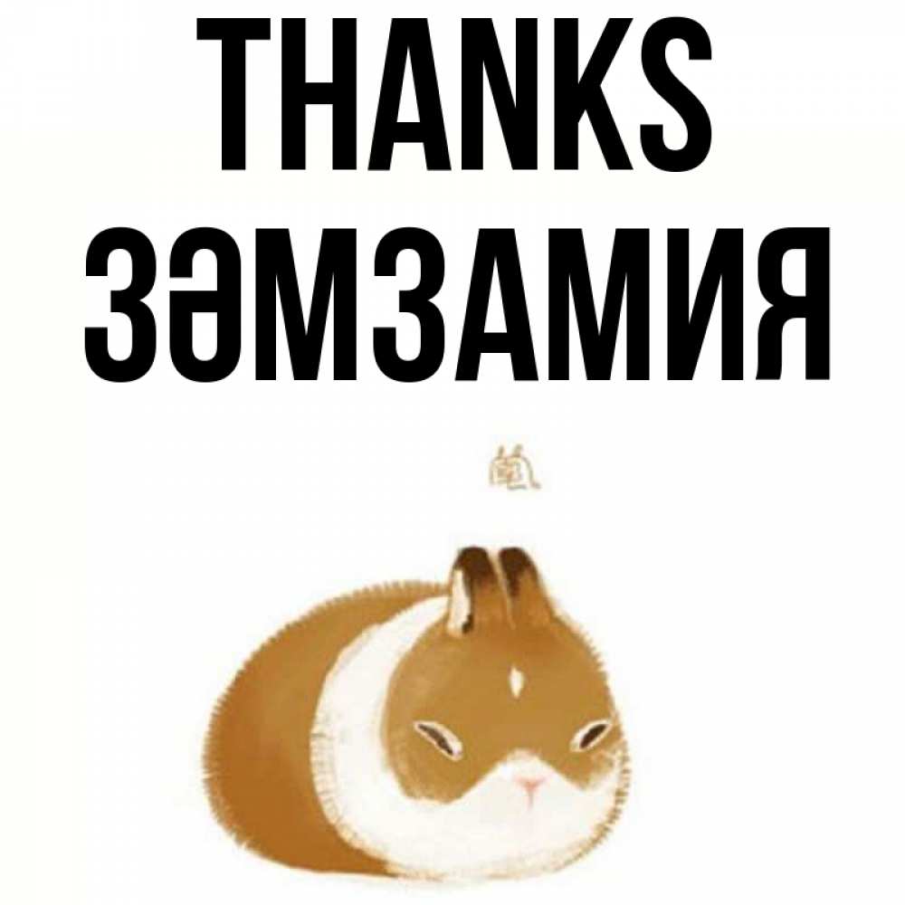 Greetings card с именем, ЗӘМЗАМИЯ Thanks коричнево белый домашний питомец Greetings with text for free download 