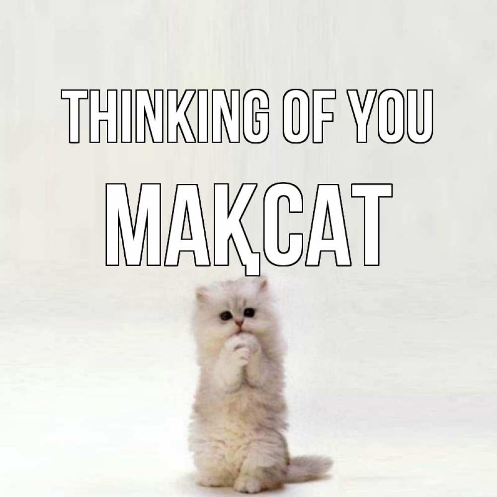 Greetings card с именем, МАҚСАТ Thinking of you кот стоит на задних лапах Greetings with text for free download 
