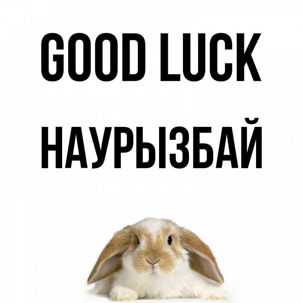 Greetings card с именем, Наурызбай Good luck открытки с произвольным текстом который можно вставить в открытку и создать ее самостоятельно бесплатно онлайн Greetings with text for free download 