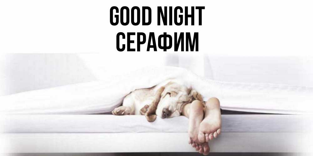 Greetings card с именем, Серафим Good night кровать с собакой пожелание сладких снов и спокойной ночи Greetings with text for free download 