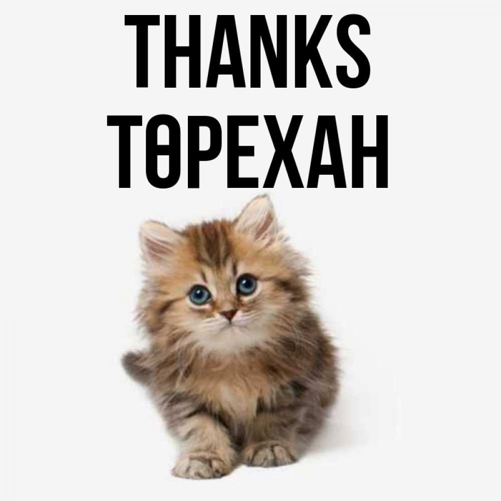 Greetings card с именем, Төрехан Thanks пушистый котик Greetings with text for free download 