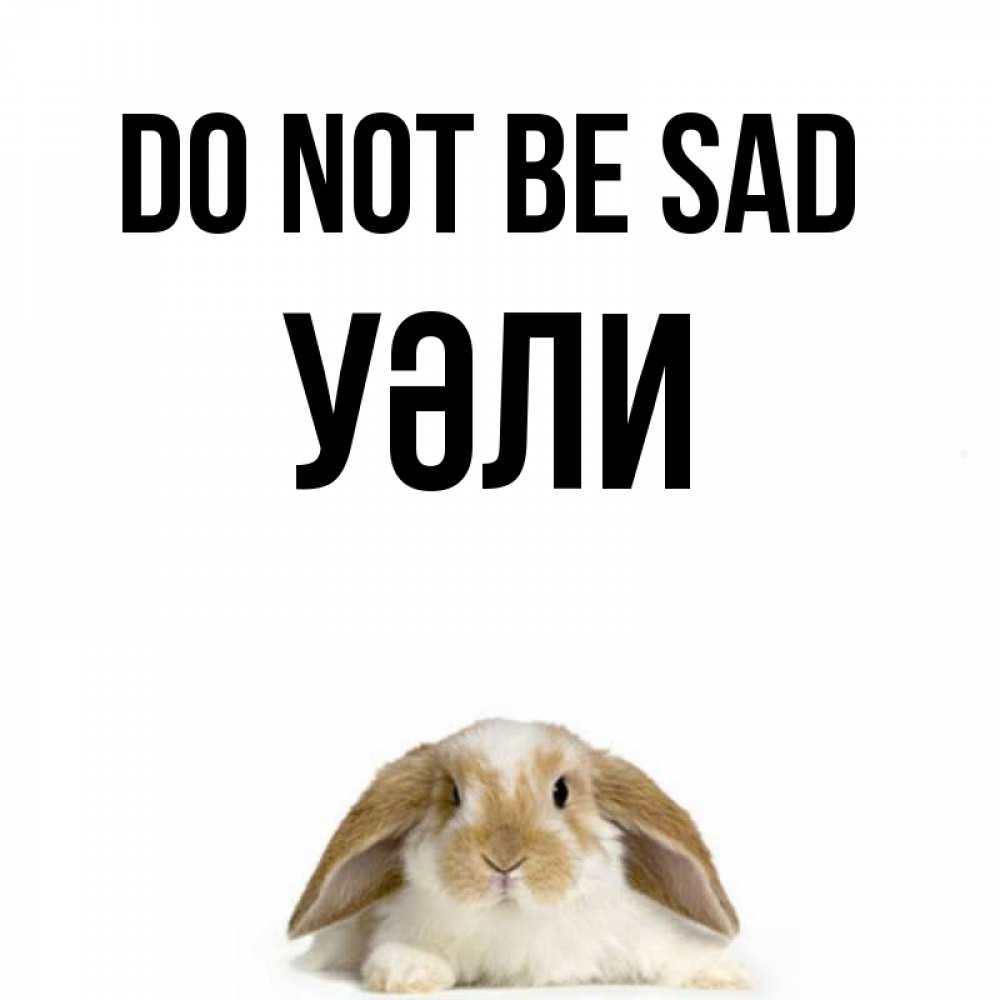 Greetings card с именем, УӘЛИ Do not be sad коричнево белый заяц с большими ушками Greetings with text for free download 