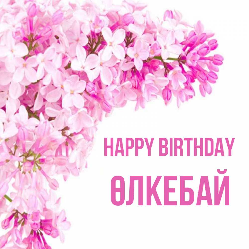 Greetings card с именем, ӨЛКЕБАЙ Happy Birthday Сирень на белом фоне Greetings with text for free download 