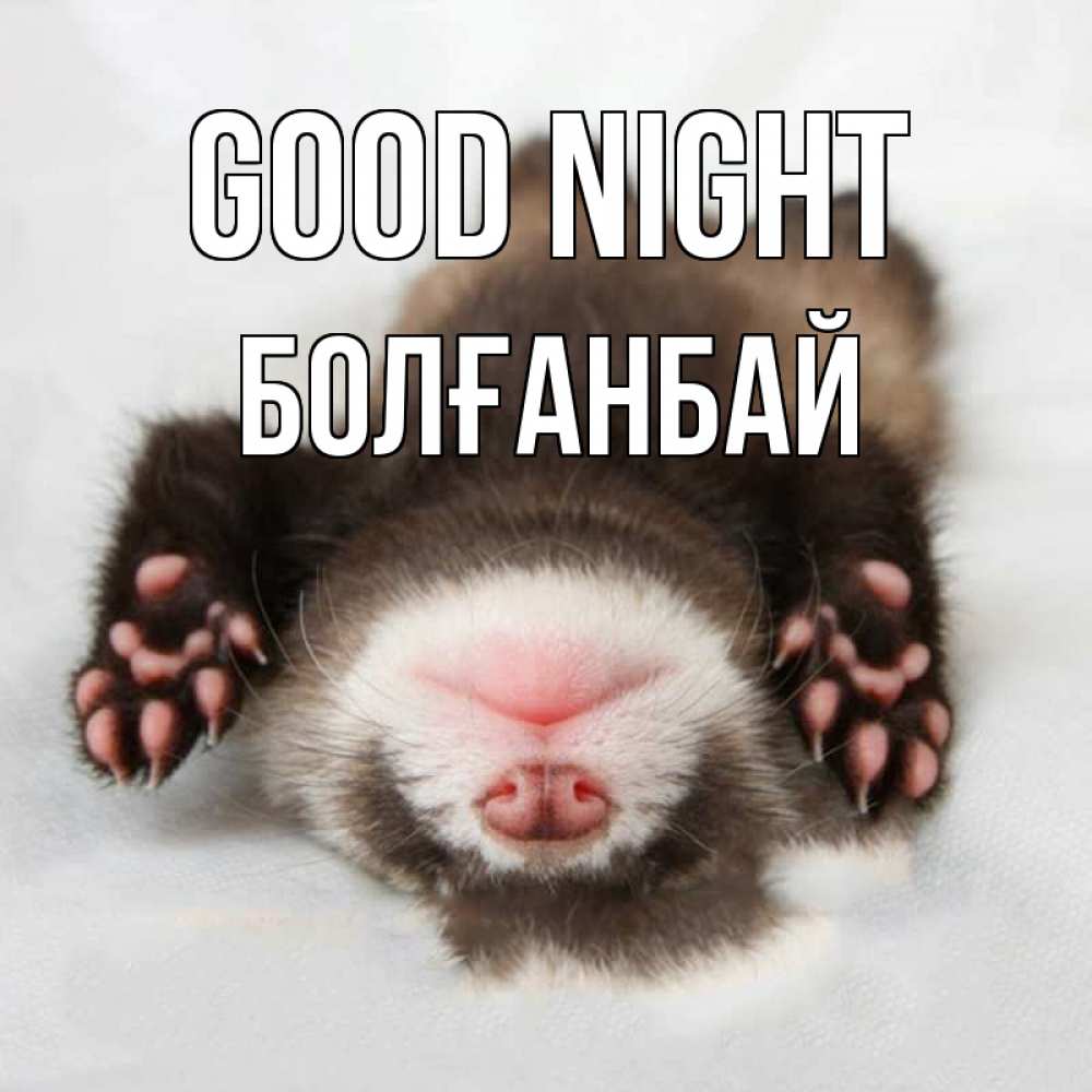 Greetings card с именем, Болғанбай Good night зверек Greetings with text for free download 