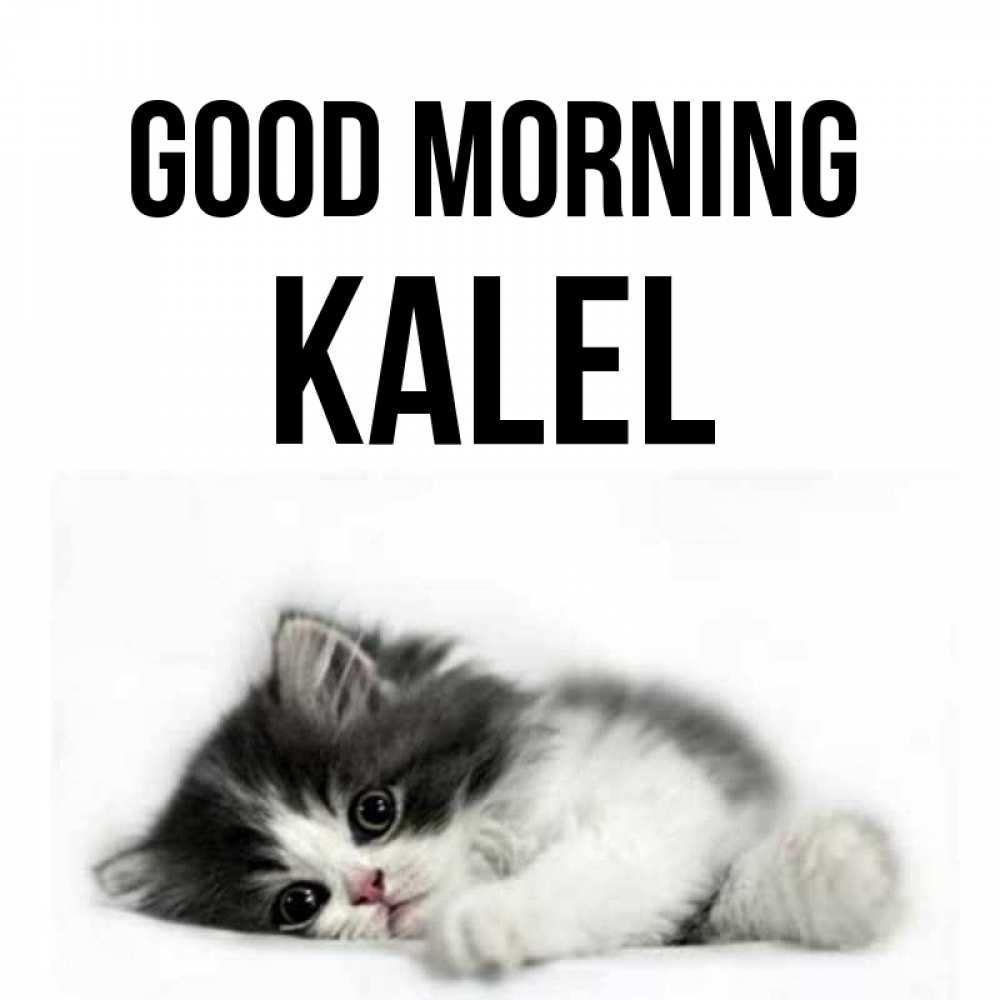 Greetings card с именем, Kalel Good morning кот лапки Greetings with text for free download 