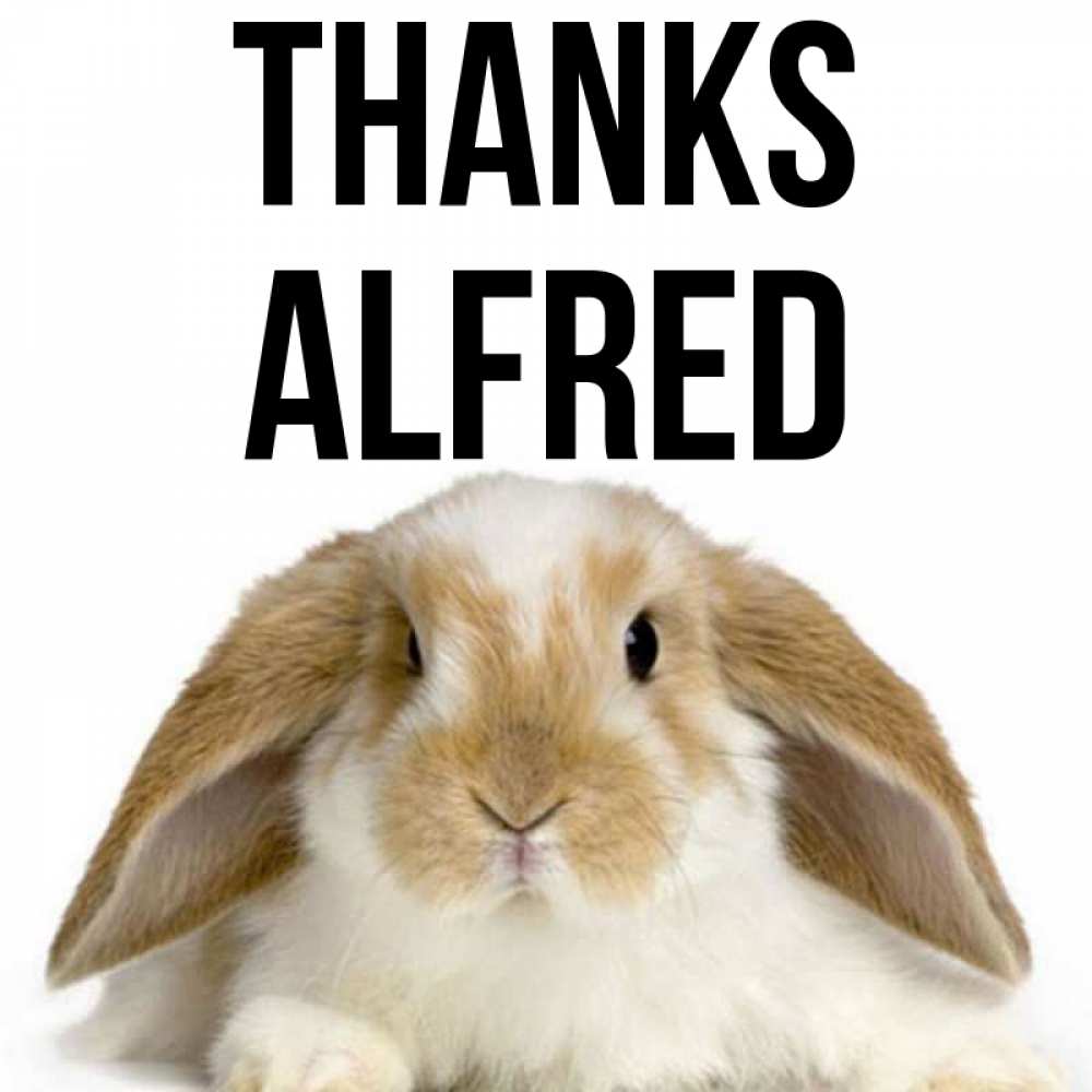 Greetings card с именем, Alfred Thanks коричнево белый заяц Greetings with text for free download 