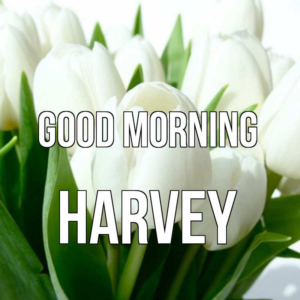 Greetings card с именем, Harvey Good morning открытки на каждый день по именам Greetings with text for free download 