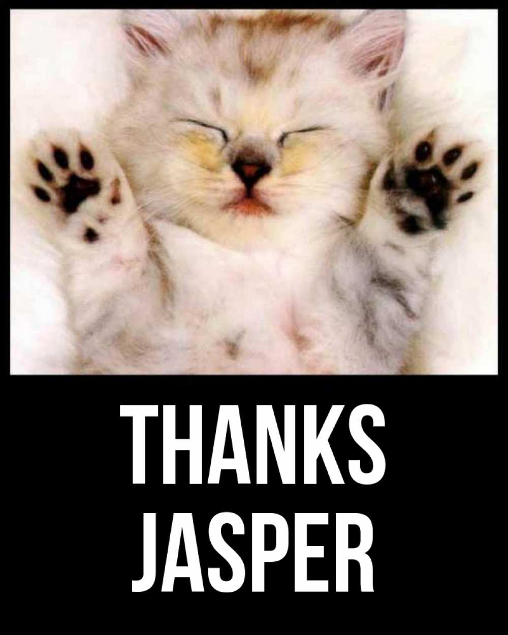 Greetings card с именем, Jasper Thanks маленький котенок Greetings with text for free download 