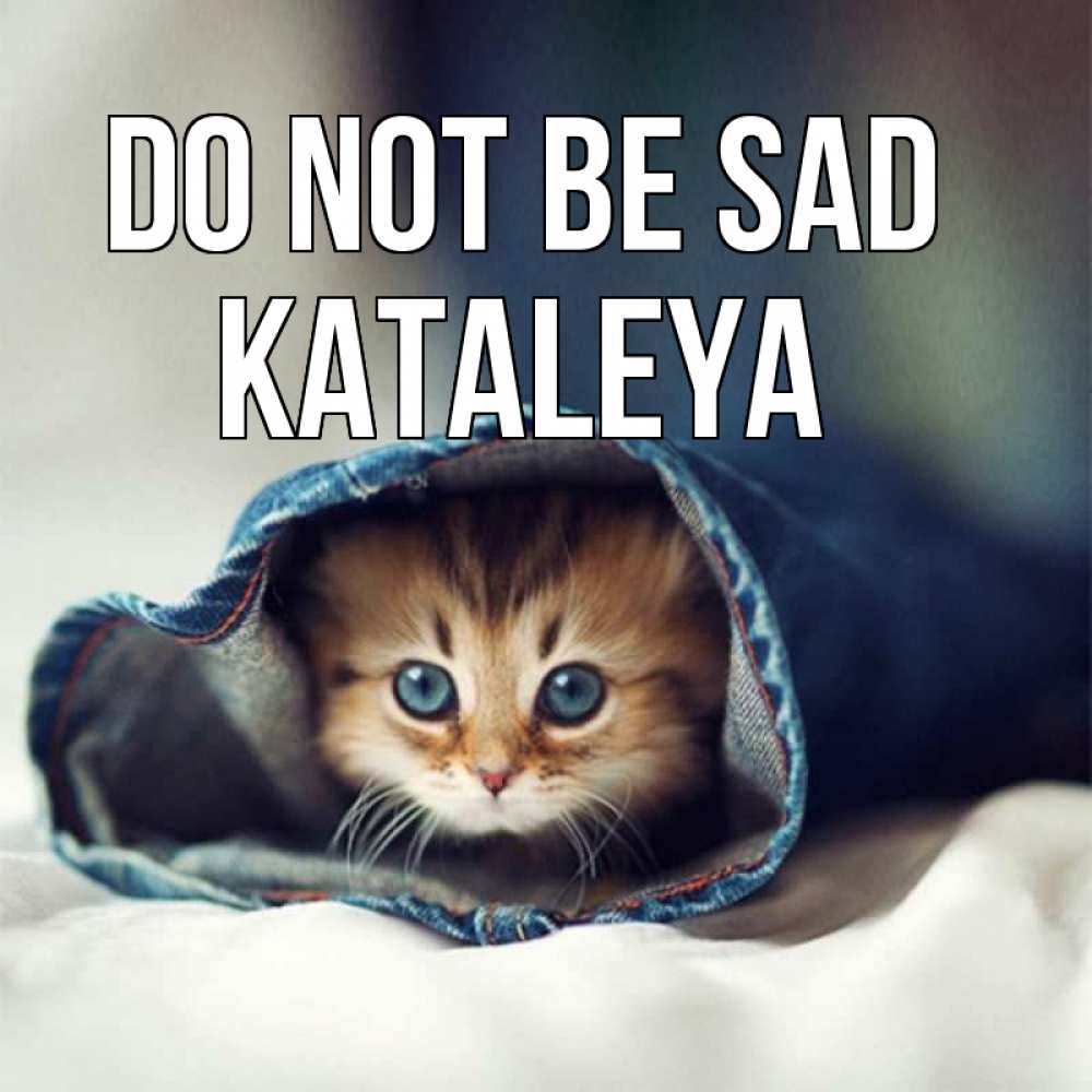 Greetings card с именем, Kataleya Do not be sad рыжик котик Greetings with text for free download 