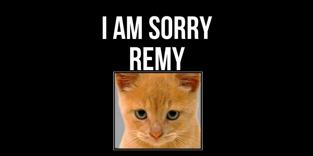 Greetings card с именем, Remy I am sorry рыжий грустный кот просит прощения Greetings with text for free download 