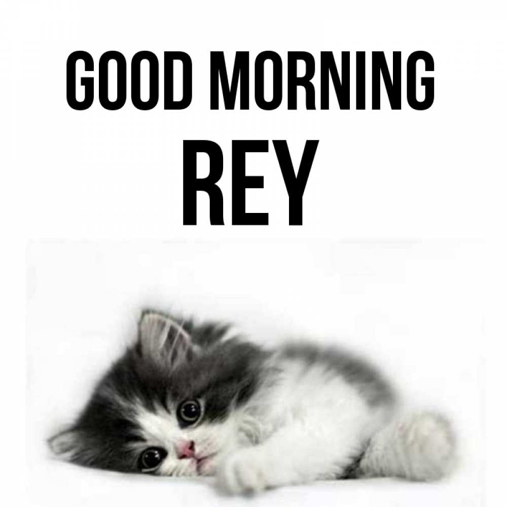 Greetings card с именем, Rey Good morning кот лапки Greetings with text for free download 
