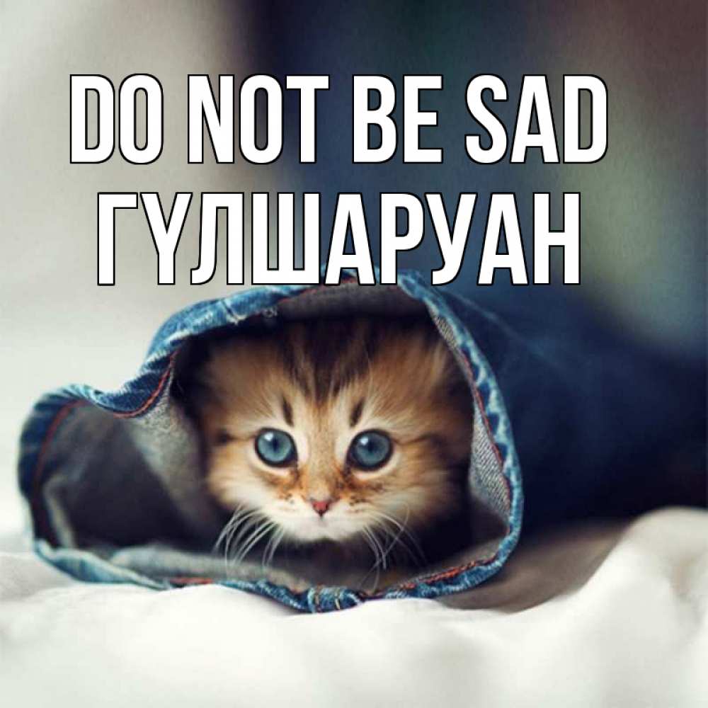 Greetings card с именем, ГҮЛШАРУАН Do not be sad рыжик котик Greetings with text for free download 