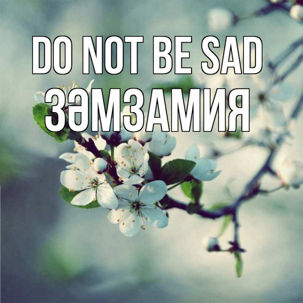 Greetings card с именем, ЗӘМЗАМИЯ Do not be sad яблоня в цвету 1 Greetings with text for free download 