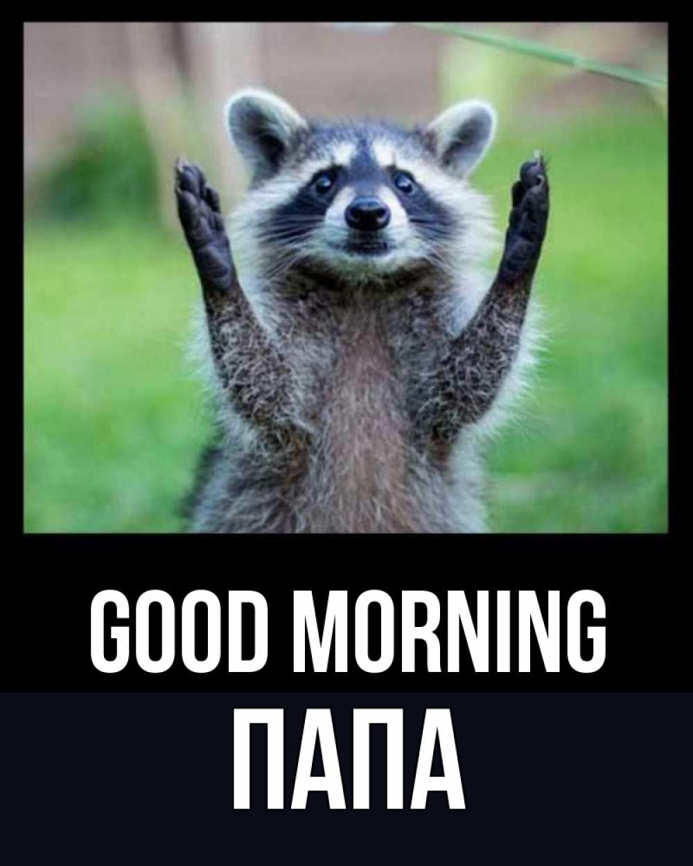 Greetings card с именем, Папа Good morning хорошее настроение утречком Greetings with text for free download 