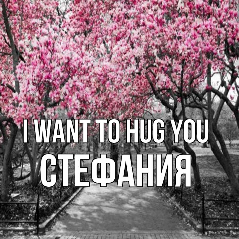 Greetings card с именем, Стефания I want to hug you обработанное фото Greetings with text for free download 