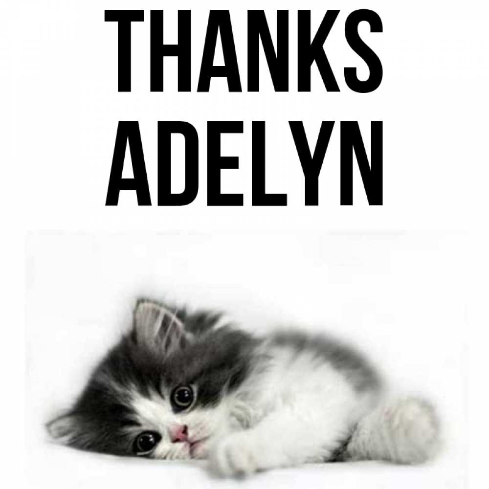 Greetings card с именем, Adelyn Thanks черный и белый кот Greetings with text for free download 
