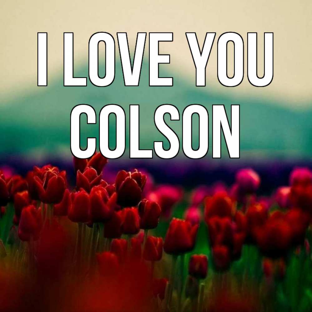 Greetings card с именем, Colson I love you тюльпаны 4 Greetings with text for free download 