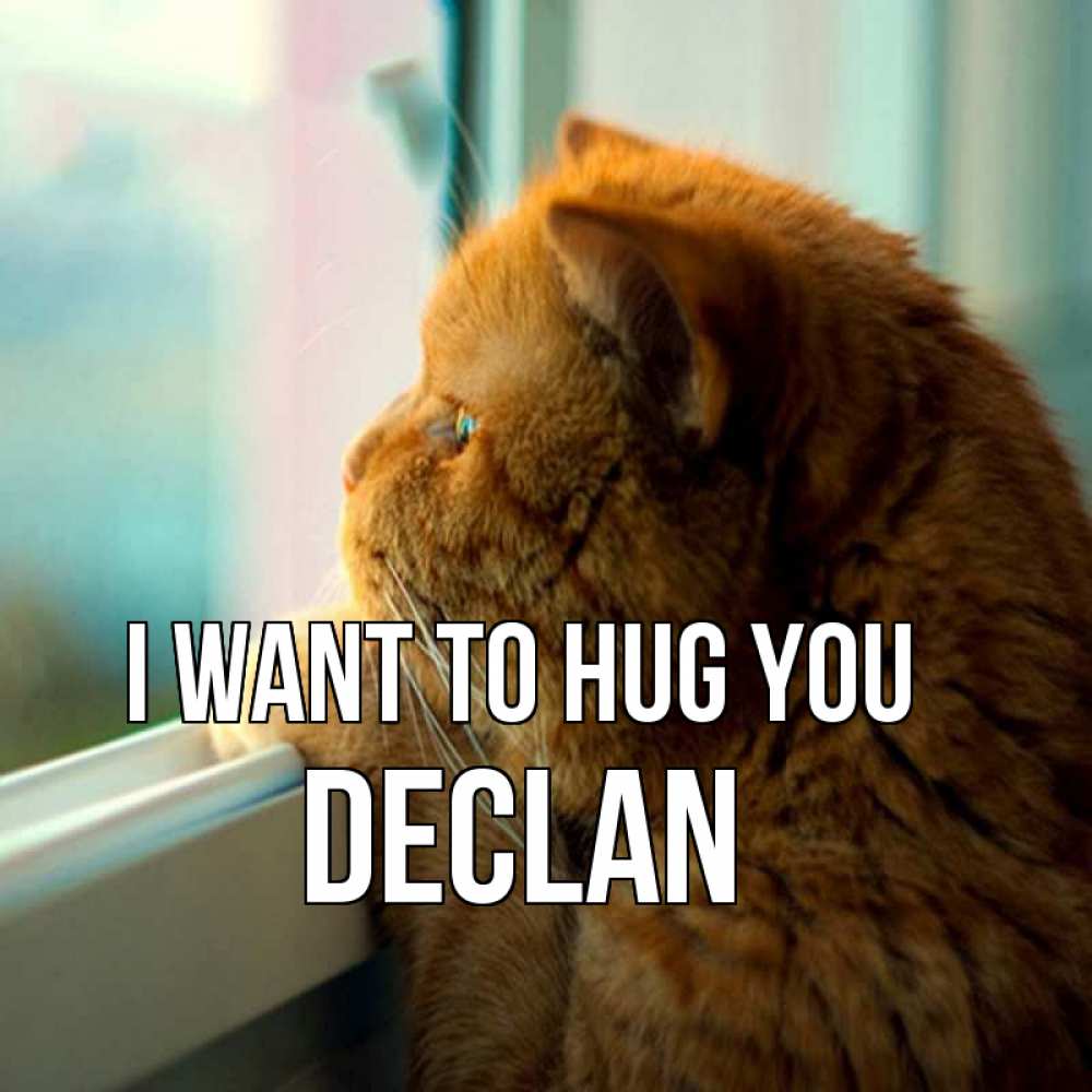 Greetings card с именем, Declan I want to hug you большой огромный рыжий котяра Greetings with text for free download 