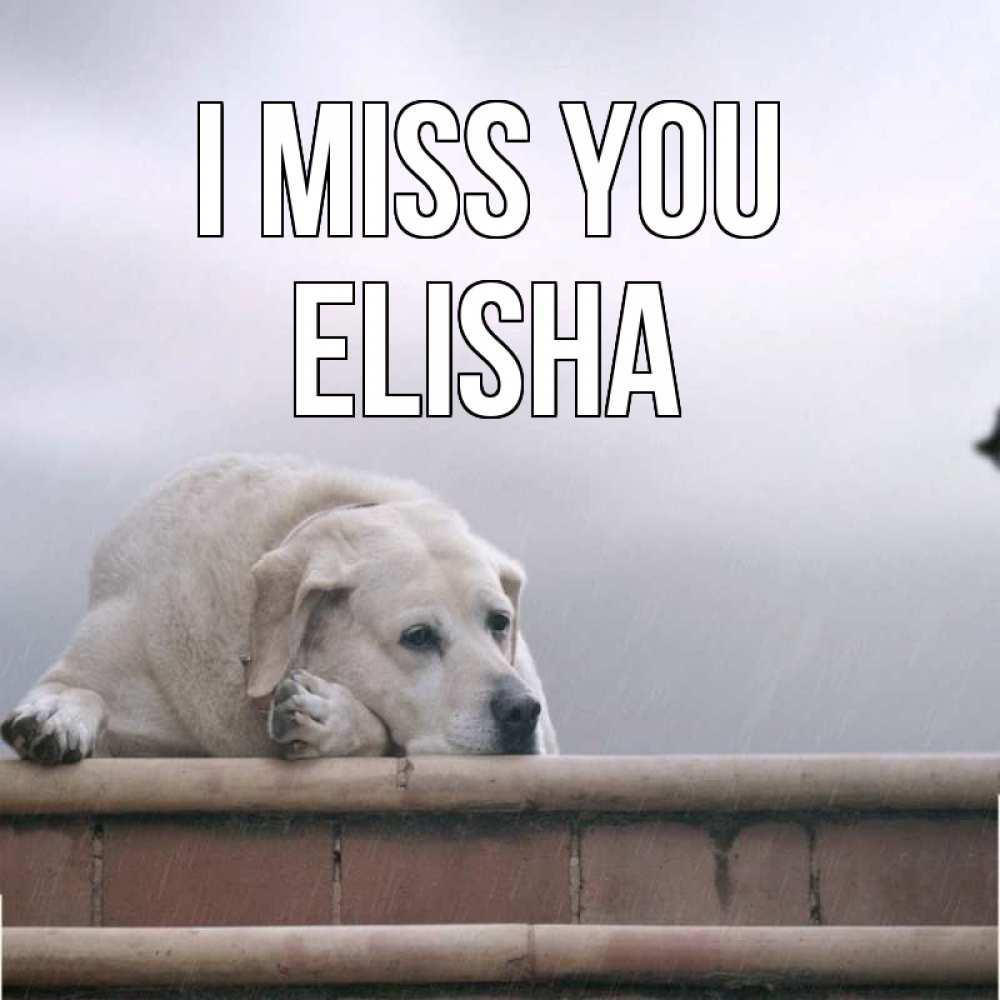Greetings card с именем, Elisha I miss you ждет Greetings with text for free download 