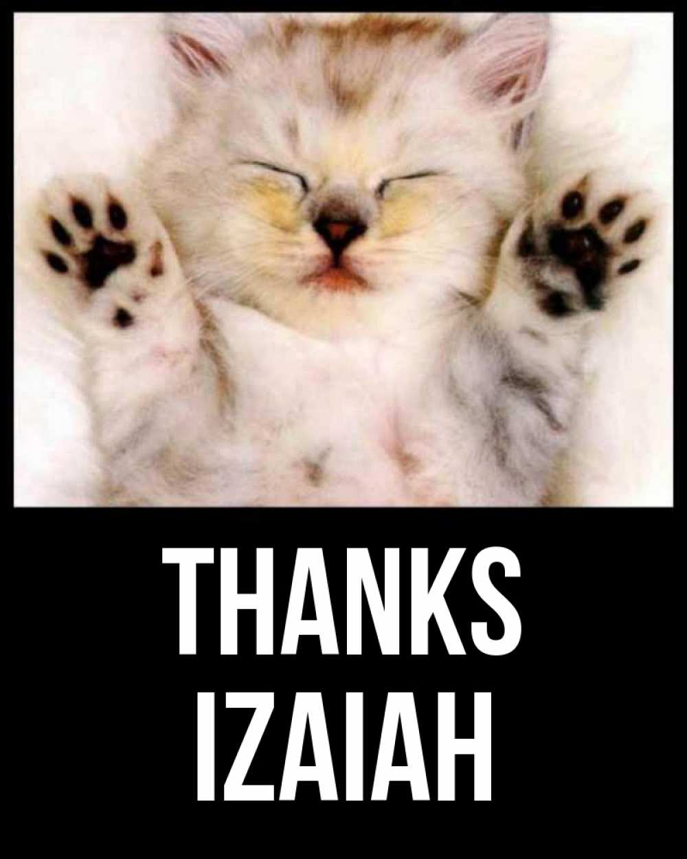 Greetings card с именем, Izaiah Thanks маленький котенок Greetings with text for free download 