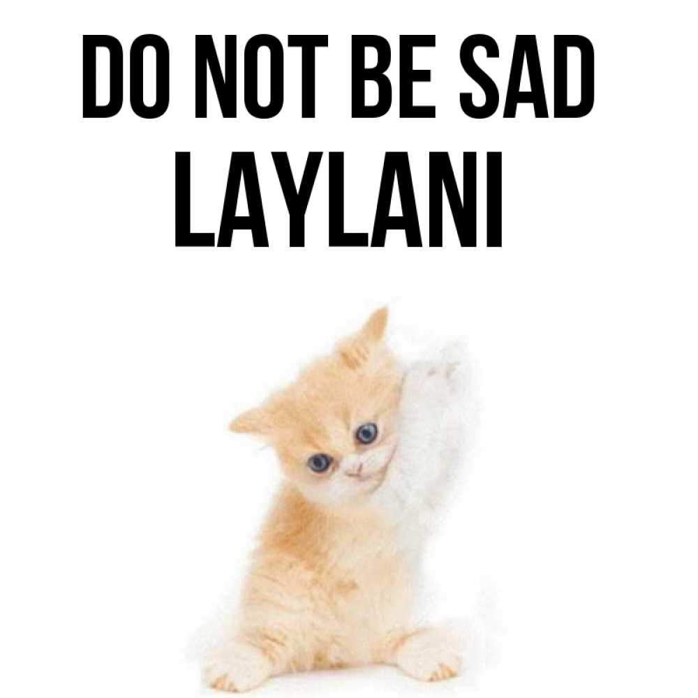 Greetings card с именем, Laylani Do not be sad просящий кот Greetings with text for free download 