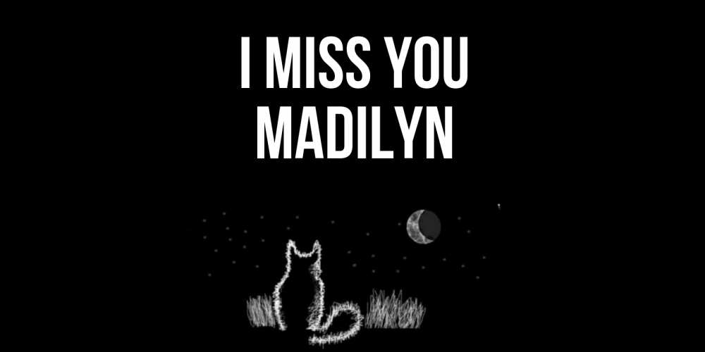 Greetings card с именем, Madilyn I miss you кот Greetings with text for free download 